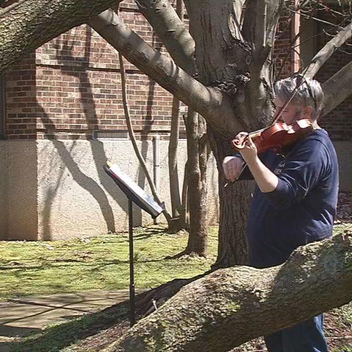 VIOLINS FOR SENIORS.jpg